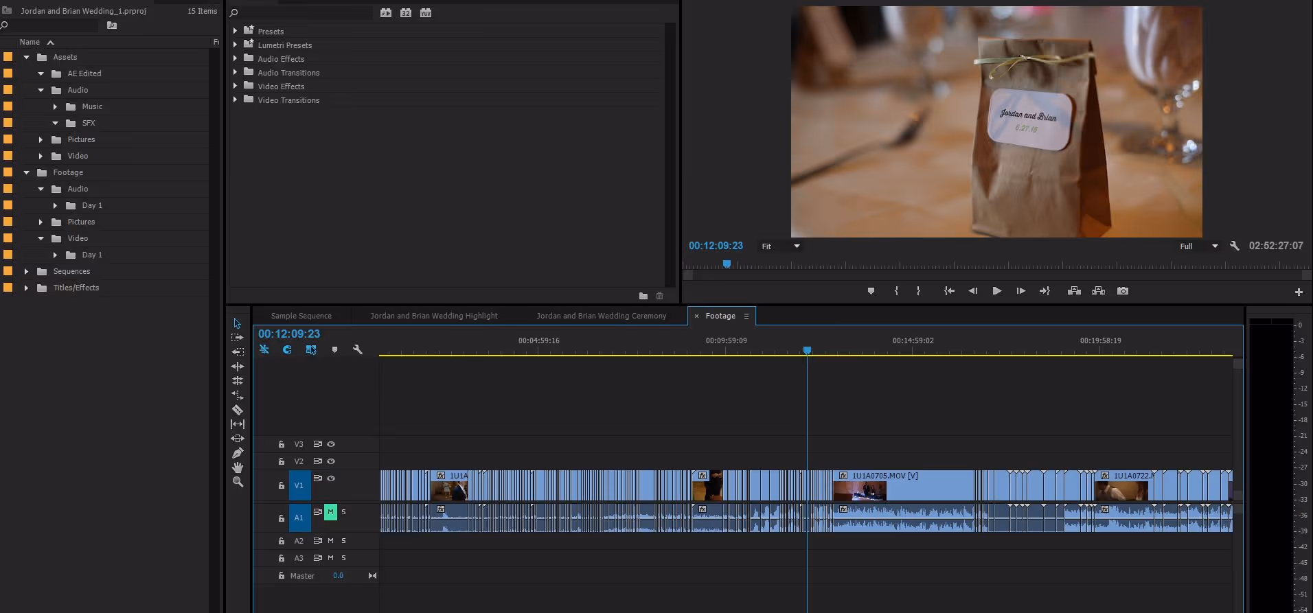 Adobe Premiere Project Snapshot