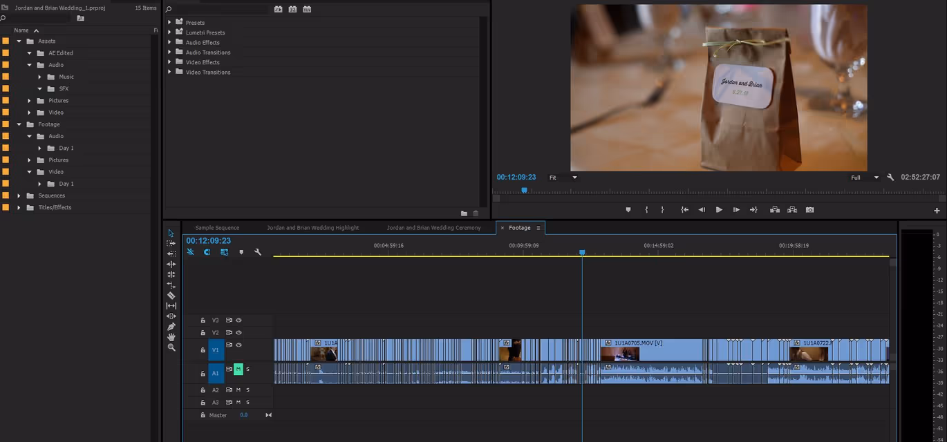 Adobe Premiere Project Snapshot