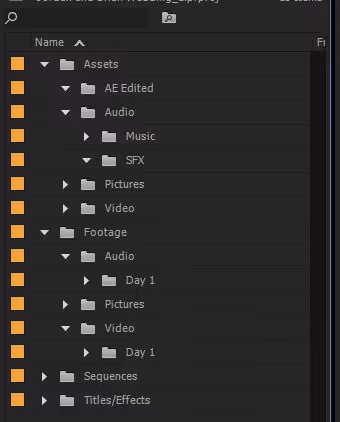 A snapshot of Adobe Premier's interface