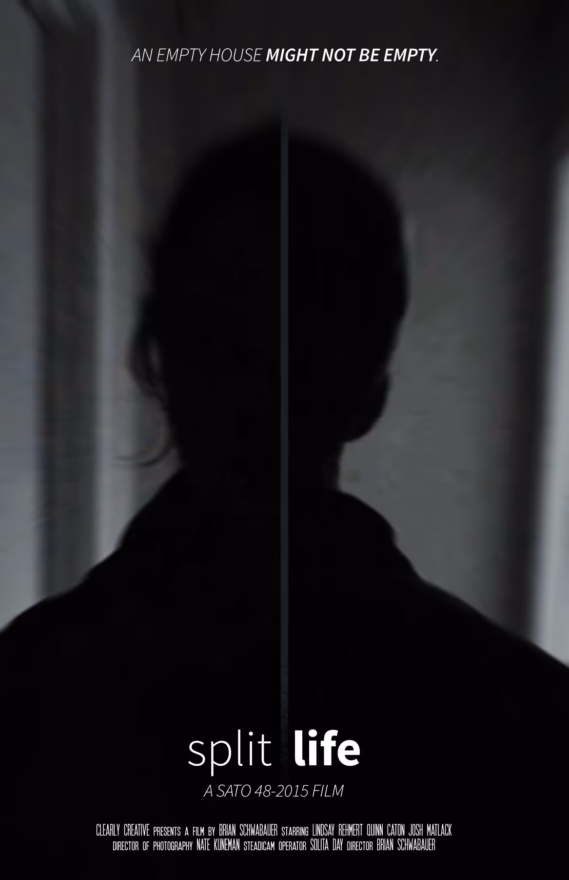 The film poster for Split Life
