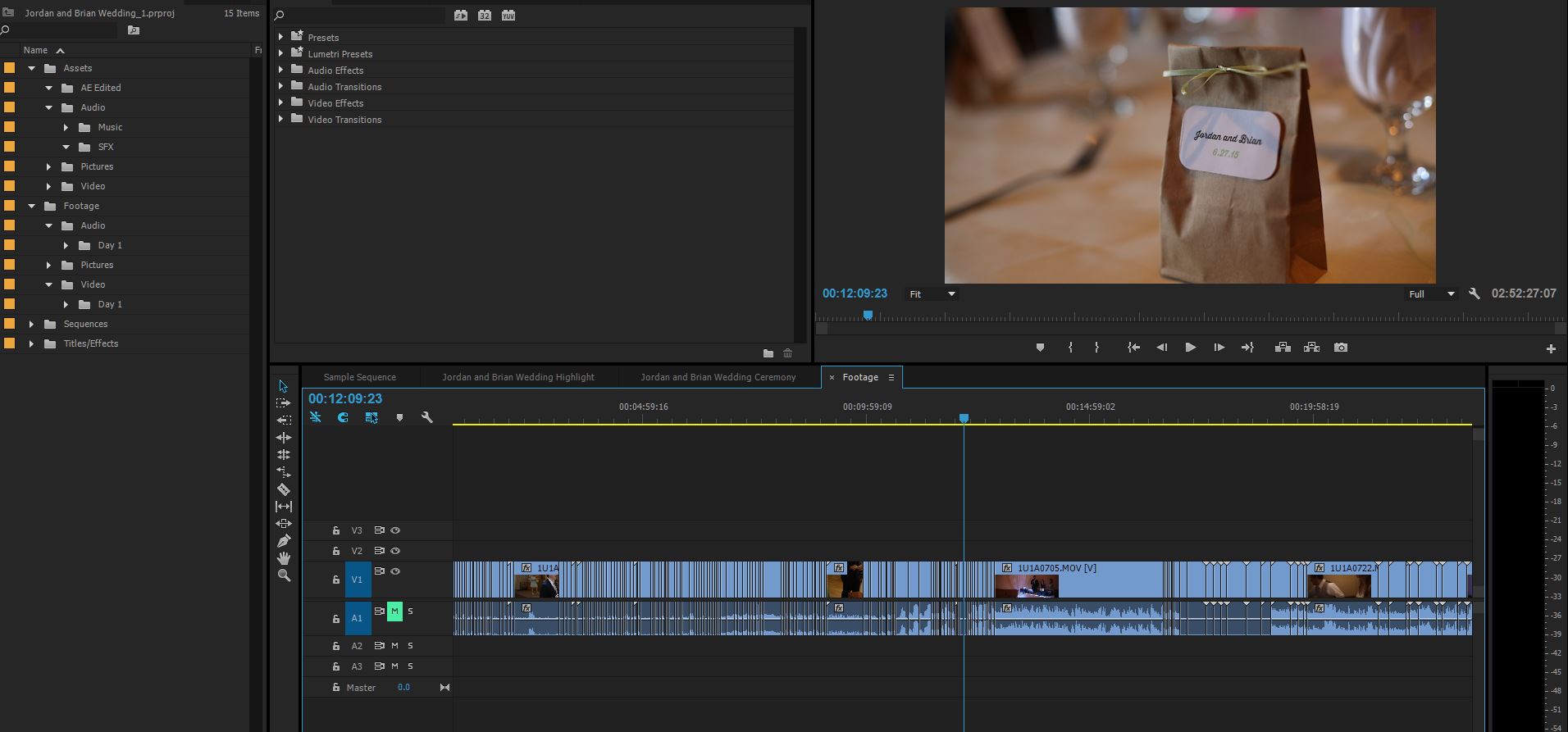 Adobe Premiere Project Snapshot