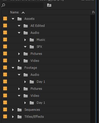 A snapshot of Adobe Premier's interface